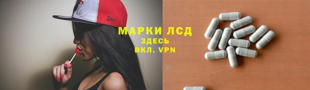 spice Алзамай